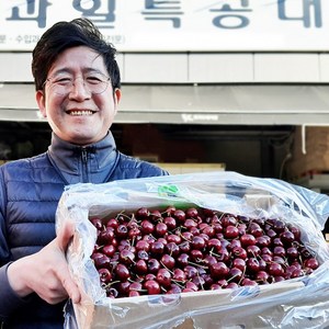 과일특공대 프리미엄 고당도 생 체리 1kg 2kg 왕체리, 생체리 10ow, 1개