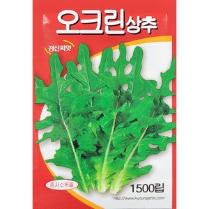 [모종심는아빠] 엽색이 진한 녹색을 띄머 맛과 상품성이 뛰어난 오크린상추 종자 1500립, 1개