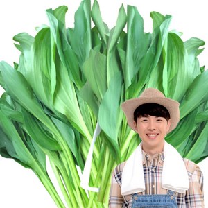 강원도 명이나물 명이나물 산마늘 울릉도 종 산명이나물 명이나물잎 명의나물 봄나물, 잎명이나물  1kg