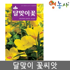 영농사 달맞이꽃 씨앗 4000립 야생화종자 꽃씨 달맞이꽃씨, 달맞이꽃씨앗, 1개