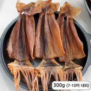 삼천포 건조 쫄쫄이 오징어 마른오징어 5-10미 내외, 1개, 300g