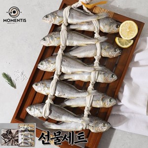 모멘티스 영광 법성포 굴비 명절 선물세트 오가 10미, 1세트, 1.1kg