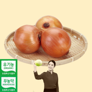 친환경 유기농 양파 / 무농약 양파 1kg 3kg 5kg 10kg, 무농약 양파 10kg, 1개