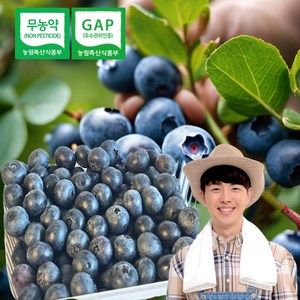 국내산 최상급 친환경 무농약 블루베리 급냉 특품 냉동 국산 불루베리 blueberry, 특사이즈, 1개, 1kg