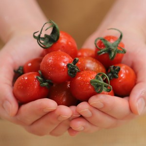 [준앤시] 친환경 무농약 대추 방울토마토 산지직송 당일수확 당일발송(오전9시 주문건) 2kg 1박스 ( 1kg + 1kg ), 1개