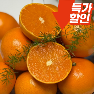 [초특가세일]한정수량 새콤달콤 제주 천혜향, 1박스, 3kg