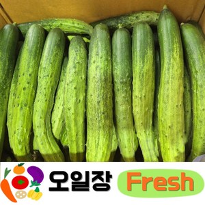 ( 오일장프레시 1호점 ) 국내산 백오이 다다기오이 못난이오이 백다다기[업소용] 10개(1.8~2kg내외) 20개(3.6~4kg내외) 10kg(45개내외), 1박스, 10개