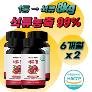 미라팩토 석류 농축 99% 석류정, 4개, 90정