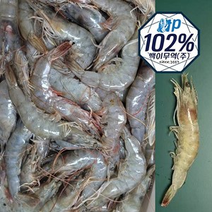 페루/에콰도르/사우디 흰다리새우 2kg, 1개, 중(100-120마리)