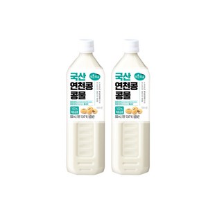 맑은물에 100% 특등급콩 국산 연천콩 콩물 500mlx2개, 500ml, 2개