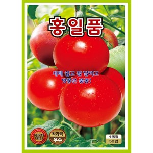 홍일품 토마토씨앗 50립, 1개