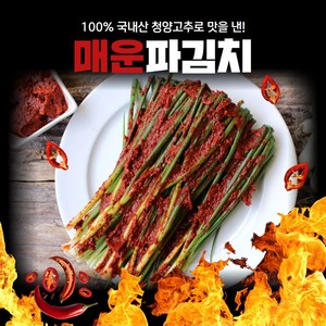 경자네 국내산 전라도 청양 실비 알싸하게 매운 파김치, 1개, 2kg