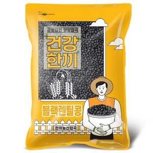 한끼농산 블랙렌틸콩 슈퍼푸드 렌즈콩, 2kg, 1개