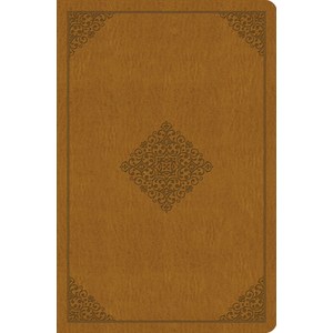 (영문도서) Value Compact Bible-ESV-Onament Design Imitation Leathe, Cossway, English, 9781433547584