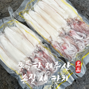 제주한치 당일조업 쫄깃한 생 한치, 1박스, 500g(1팩)