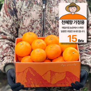 15bix 당도선별 제주 천혜향 가정용, 1박스, 2kg(10과내외)