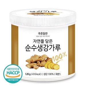 푸른들판 국산 생강 가루 분말 100% HACCP 인증 생강차 진저 파우더 조미료 향신료, 120g, 1개입, 1개