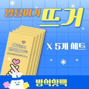 캠핑용 방석핫팩 대형 400g, 5개