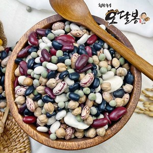 힘찬농부오달봉 수입 혼합콩 9종 오색혼합콩, 1개, 4kg