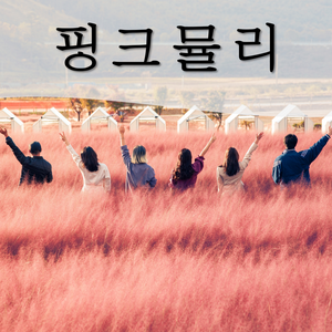 꽃객프로젝트 핑크뮬리 씨앗 2g (1200립), 1개
