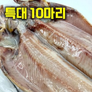 맛고을장터 최상급 반건조임연수 반건조 인연수어 이면수 반건조생선 Okhotsk Atka Mackeel, 10개, 특대(40-45cm)