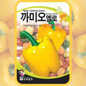 세계종묘 까미오옐로파프리카씨앗 20립, 1개