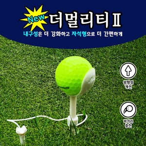 버디파파 더멀리티2 골프티 2개, 랜덤 발송, 1세트