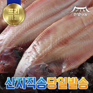 [특가할인] 군산 박대 서대 구이용 조림용 해풍건조 명품 제수용 말린 반건조생선, 박대 29~31cm, 10개