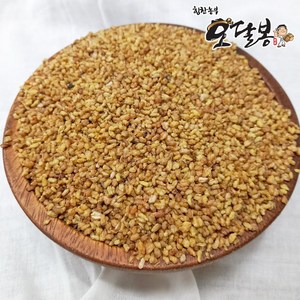 힘찬농부오달봉 수입 달단메밀 볶은메밀 메밀차, 1kg, 1개입, 1개