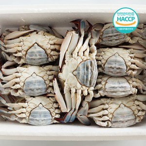 [연평도] 국내산 특품 급냉 암꽃게, 1개, 1kg (3-5미)