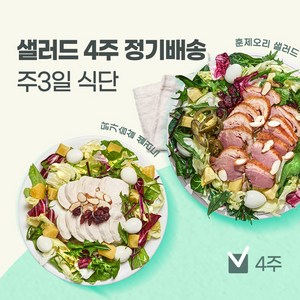 포켓샐러드 4주 정기배송 샐러드 주 3일, 07. 닭가슴살1+치즈1+숯불갈비1, 12개, 245g