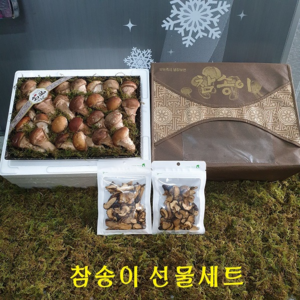 곡성 무농약 참송이버섯 1kg /500g (2시전 주문시 내일도착), 1박스, 참송이 실속선물세트