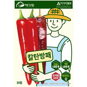 아시아종묘 씨앗 고추 칼탄방패 30립, 1개