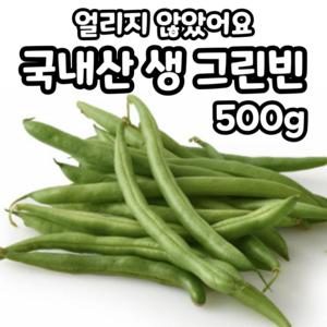 [국내산] 생 그린빈 얼리지 않은 줄기콩 롱빈, 1개, 500g