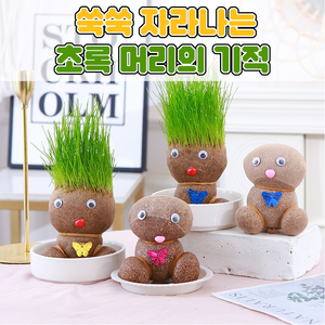 [추억의 아이템] 쑥쑥 자라나는 초록머리의 기적, 1개