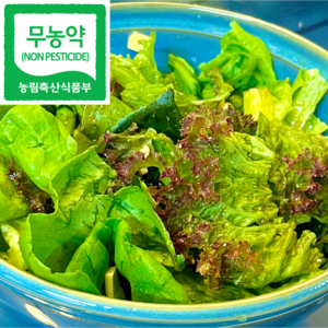 무농약 아쿠아포닉스 유러피안 샐러드 채소, 무농약 유러피안 모듬 1kg, 1개