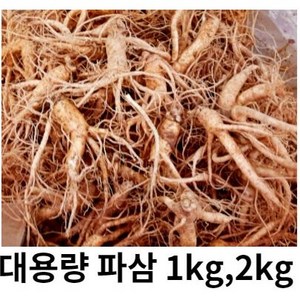 금산 인삼 파삼 5년근 수삼 국내산 1kg 파삼 막삼 흠있는 못생긴 인삼 대용량, 1kg 파삼 (세척X), 1개