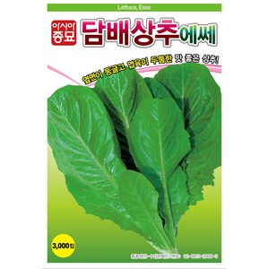 [모종심는아빠] 옆면이 둥글고 엽육이 두툼한 맛 좋은 상추 담배상추 에쎄 씨앗 3000립, 1개