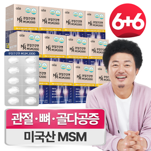 MSM 관절 식이 유황 영양제 엠에스엠 2000, 12개, 30회분