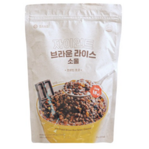 다노 자이언트 브라운라이스소울 프로틴초코, 500g, 1개