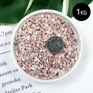 마이플랜트 콩자갈 1kg 소포장, 핑크(2~4mm), 1개