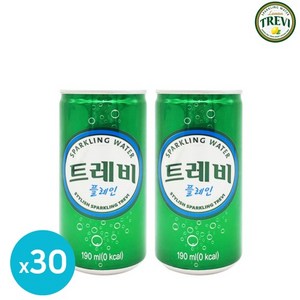 트레비 플레인, 190ml, 30개