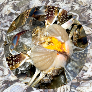 [당일조업] 서해안 대천 신진도 제철 활꽃게 정품, 암꽃게, 1개, 1kg(3-5미)