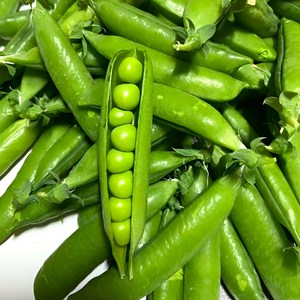 2025년 최상품 햇 껍질 국산 완두콩 풋콩 청대콩 신선포장 500g 1kg, 1개