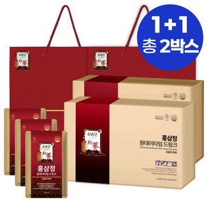 1+1특가 홍삼정 6년근 파우치 쇼핑백 포함, 60개, 50ml