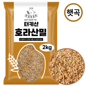 [쌀쌀쌀] 터키산 햇 호라산밀, 1개, 2kg