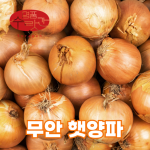 명품수랏간 24년 국내산 아삭하고 단단한 전남 무안 햇양파, 1개, 2kg (대)