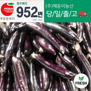 <해돋이농산> 국내산 햇 가지 못난이가지 상품 10kg, 1박스