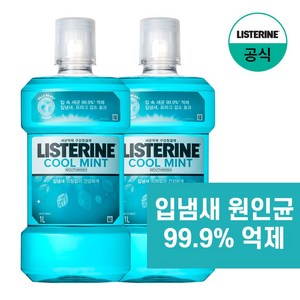 리스테린 쿨민트 구강청정제, 1L, 2개