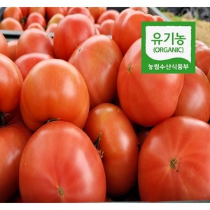 산지직송 유기농 찰토마토 완숙토마토 3kg 5kg, 유기농 완숙 찰토마토3kg, 1개